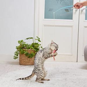 ペティオ (Petio) 猫用おもちゃ けりぐるみ ｄｅ じゃらし ミニエビ｜shiningtoday