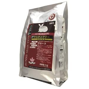 イースター デグーセレクションプロ グルテンフリー 400g : Shining