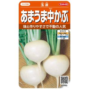 サカタのタネ 実咲野菜5402 あまうま中かぶ 玉波 00925402