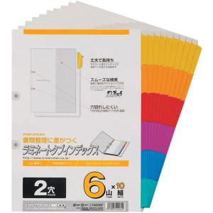 マルマン インデックス A4 30穴 (2穴対応) インデックスシート 8山 1組