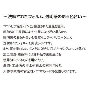 フロールエバー プリザーブドフラワー ショート...の詳細画像4