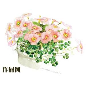 ミューズ(Muse) 水彩紙 ホワイトワトソン...の詳細画像1