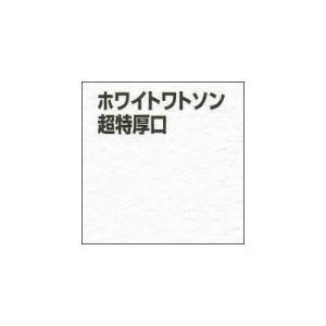 ミューズ(Muse) 水彩紙 ホワイトワトソン...の詳細画像2