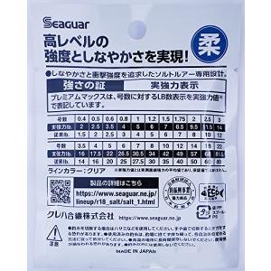 シーガー(Seaguar) リーダー シーガー...の詳細画像1