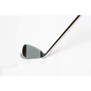 Hirota Golf(広田ゴルフ) メガゴル...の詳細画像2