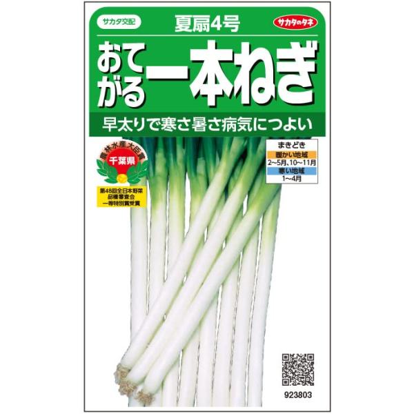 サカタのタネ 実咲野菜 ネギ おてがる一本ねぎ 夏扇4号