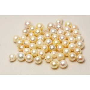 南洋白蝶真珠パールルース 両穴 22×14mm ホワイトカラー : 真珠倶楽部
