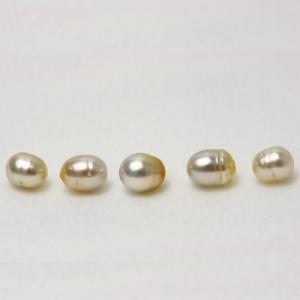 南洋白蝶真珠パールルース　両穴　5ピース　10-9mm　ナチュラルカラー