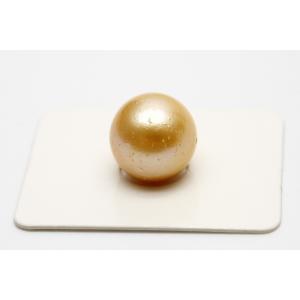 南洋白蝶真珠パールルース 14mm ホワイトカラー : 真珠倶楽部 - 通販