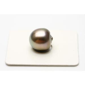タヒチ黒蝶真珠パールルース　両穴　12mm　ブラウンカラー