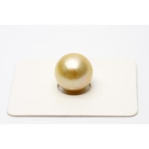 南洋白蝶真珠パールルース 両穴 22×14mm ホワイトカラー : 真珠倶楽部