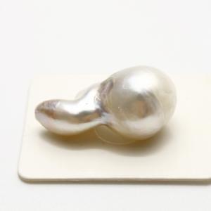 南洋白蝶真珠パールルース14mmホワイトカラー