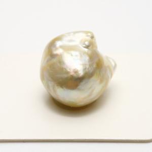 南洋白蝶真珠パールルース 16×14mm ナチュラルゴールドカラー : 真珠 