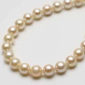 南洋白蝶/タヒチ黒蝶真珠パールブレスレット ケシ 5-4mm マルチカラー 