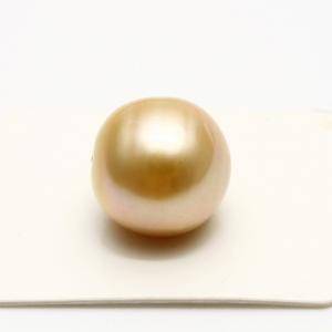南洋白蝶真珠パールルース 14mm ホワイトカラー : 真珠倶楽部 - 通販