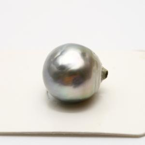 南洋白蝶真珠パールルース 両穴 22×14mm ホワイトカラー : 真珠倶楽部