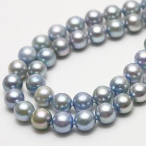 南洋白蝶真珠パールルース 14mm クリームカラー : 真珠倶楽部