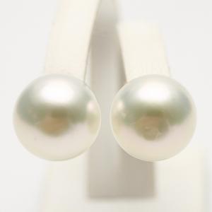 南洋白蝶真珠パールイヤリング 13mm ホワイトグリーンカラー 結婚式 