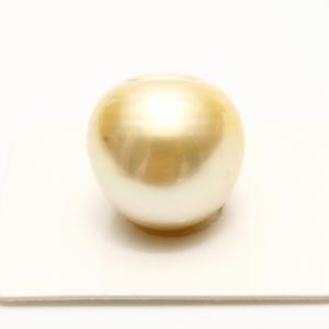 南洋白蝶真珠パールルース 片穴 17mm ナチュラルゴールドカラー : 真珠 