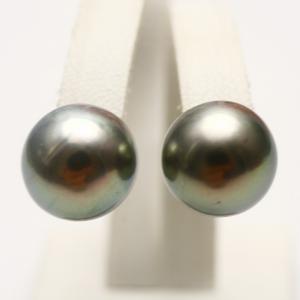 ピアス ブラックパール タヒチ黒蝶真珠10mmスタッドピアス ホワイト