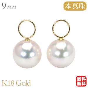 選べる 南洋白蝶真珠 パールキャッチ ホワイト/ライトゴールド