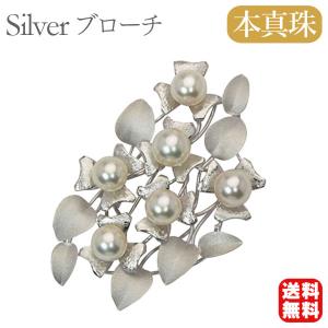 TASAKI（タサキ） 田崎真珠 マベパール ブローチ 真珠 【中古】(62488