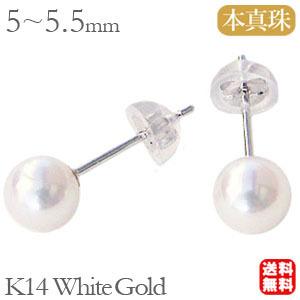 パールピアス 普段使い アコヤ本真珠 パール ピアス 5mm-5.5mm k14 