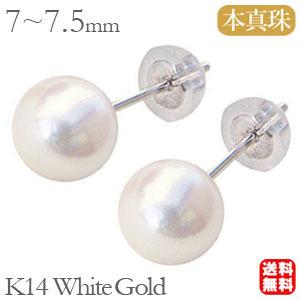 パールピアス パール ピアス 14k k14 14金 ホワイトゴールド 真珠 