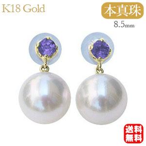 パール ピアス 18金 18k アメジスト 2月誕生石 スタッド 真珠 あこや本
