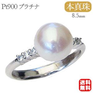パールリング 普段使い パール リング プラチナ 真珠 指輪 本真珠 