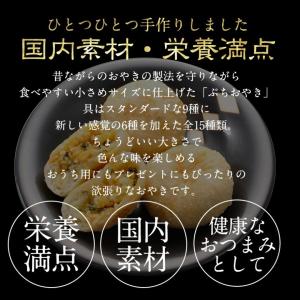 ぷちおやき 長野 15個セット 自宅用 人気の詳細画像2