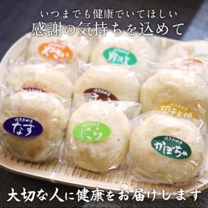 敬老の日 おやき 18個 ギフト 野沢菜・きの...の詳細画像1