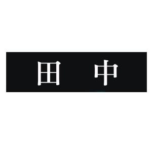 表札 ステンレス調カラー ミニプレート ポストやロッカーに最適