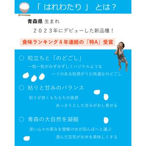 ※決算セール※【選べる精米/白米・玄米・分づき...の詳細画像1