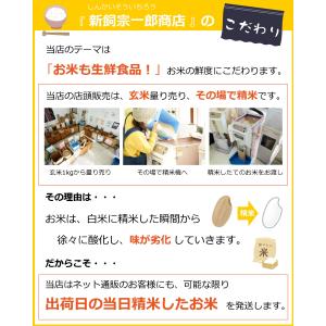 ※決算セール※【選べる精米/白米・玄米・分づき...の詳細画像3