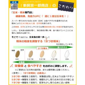 ※決算セール※【選べる精米/白米・玄米・分づき...の詳細画像4