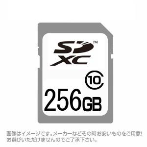 同梱可能 SDカード  SDXCカード 256GB 256ギガ クラス10 お得｜shinkeijyun