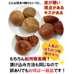 超訳あり つぶれ梅 はちみつ梅 800g | ...の詳細画像1