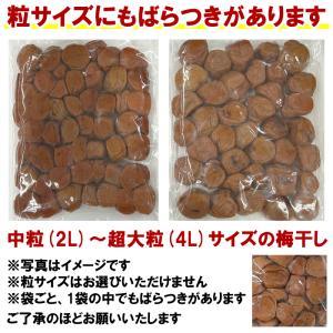 超訳あり つぶれ梅 はちみつ梅 800g | ...の詳細画像3