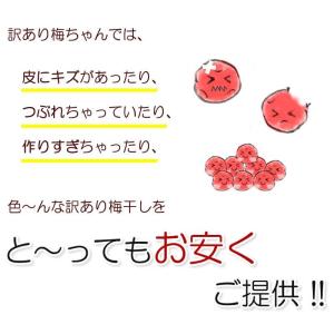 減塩3% 超訳あり つぶれ梅 はちみつ梅 美味...の詳細画像4