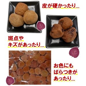 【超訳あり】紀州南高梅 塩分3% つぶれ梅 し...の詳細画像1