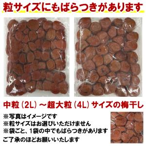 【超訳あり】紀州南高梅 塩分3% つぶれ梅 し...の詳細画像2