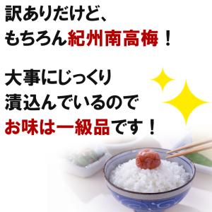 【超訳あり】紀州南高梅 塩分3% つぶれ梅 し...の詳細画像3