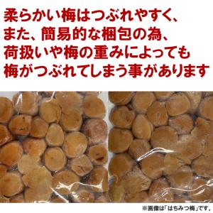 【超訳あり】紀州南高梅 塩分3% つぶれ梅 し...の詳細画像5