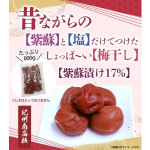 新商品 超訳あり 昔ながら 紫蘇香る 本格しそ...の詳細画像1