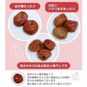 新商品 超訳あり 昔ながら 紫蘇香る 本格しそ...の詳細画像2