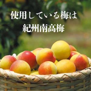 新商品 超訳あり 昔ながら 紫蘇香る 本格しそ...の詳細画像3