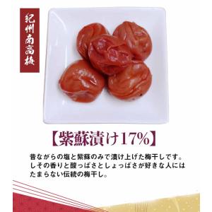 新商品 超訳あり 昔ながら 紫蘇香る 本格しそ...の詳細画像5