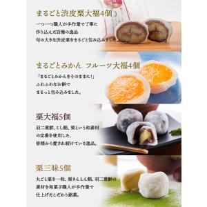 【福袋】人気の大福詰め合わせセット まるごと渋...の詳細画像2