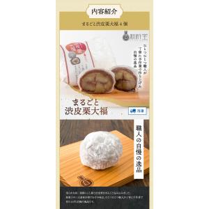 【福袋】人気の大福詰め合わせセット まるごと渋...の詳細画像3